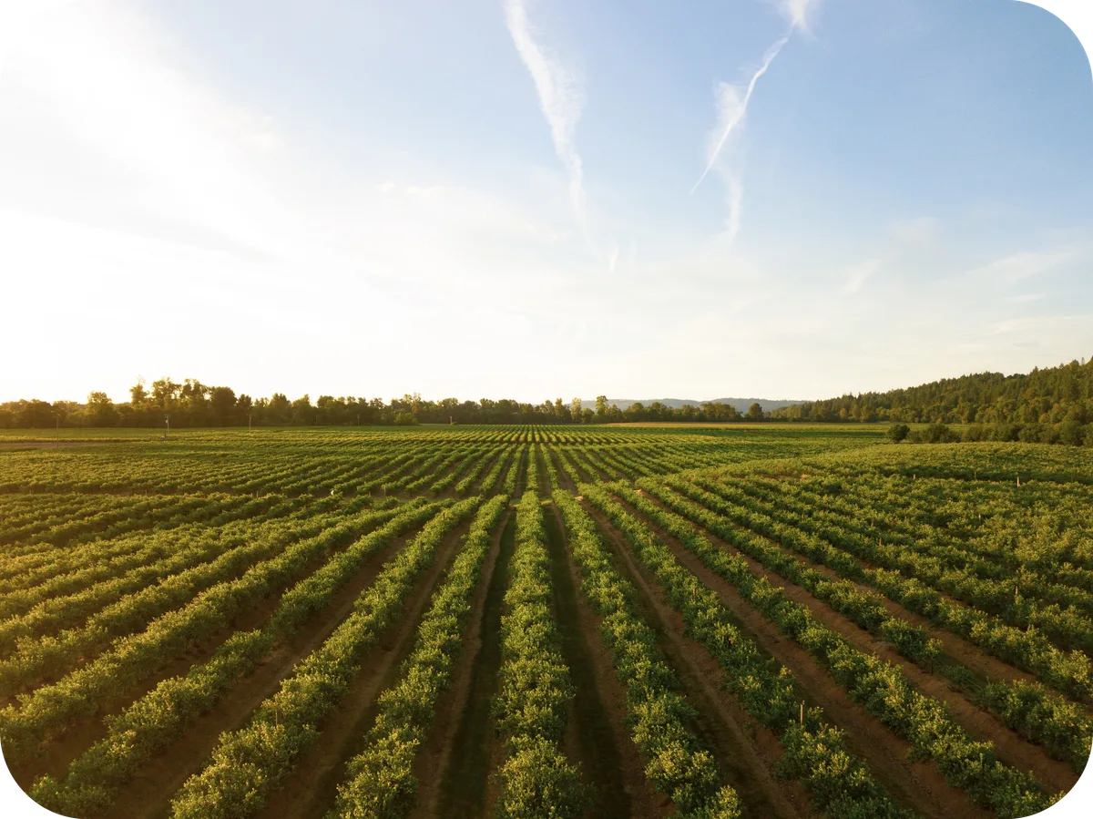 Qu'est-ce que l'investissement dans le foncier agricole