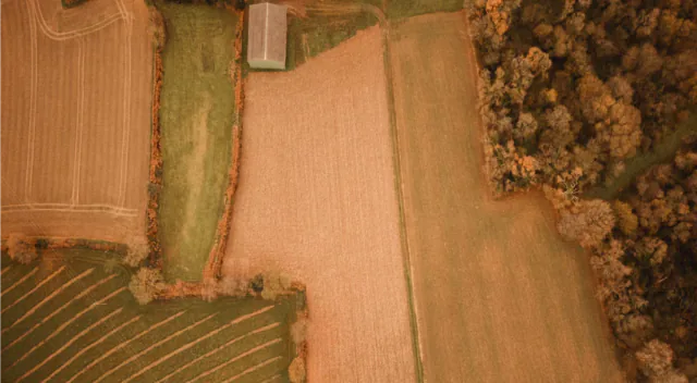 Champs de céréales vus du ciel en Bretagne